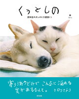 くぅとしの　認知症の犬しのと介護猫くぅ